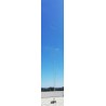 Vertical antenna PST-248VF